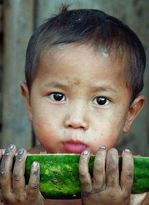 精致男孩吃瓜,精致男孩的瓜田奇遇记