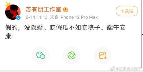 如何登录吃瓜网站,畅享吃瓜乐趣——揭秘吃瓜网站便捷登录攻略