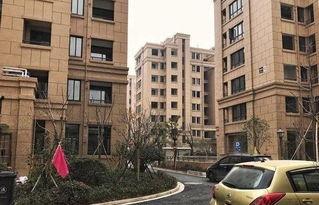 长沙房地产吃瓜,揭秘房地产市场的“吃瓜”现象