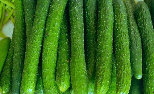 炒菜吃的白瓜叫啥瓜,白瓜的美味解析与烹饪技巧