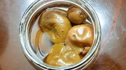 饶平趣味吃瓜,探寻地方特色美食之旅