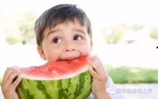 姥姥带你吃瓜,品味生活百味