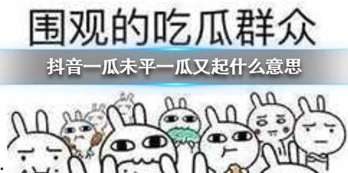 抖音传播吃瓜,揭秘网络传播背后的趣味与真相