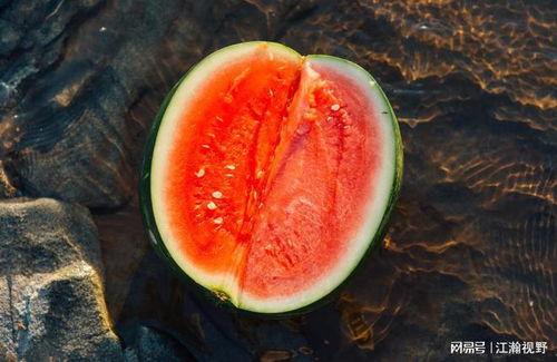 艾菲夫妇 吃瓜,吃瓜群众的甜蜜生活揭秘