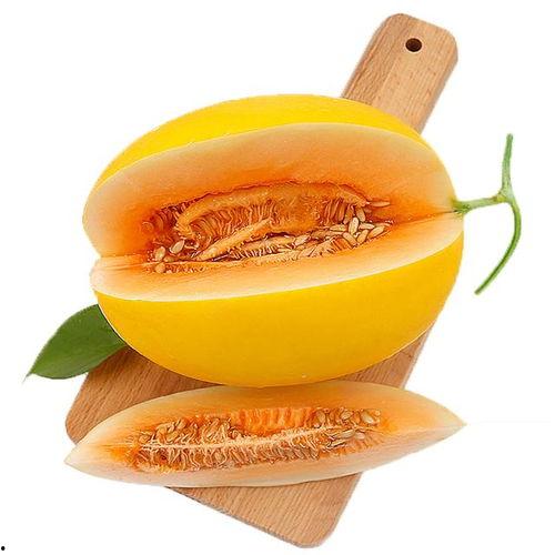 吃一个小蜜瓜,一口小蜜瓜，甜蜜满溢心间