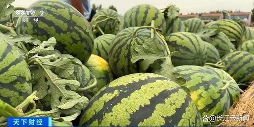 热门吃瓜每日吃瓜