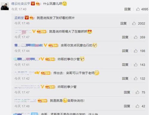 吃瓜资讯评论语,揭秘热门事件背后的评论风云