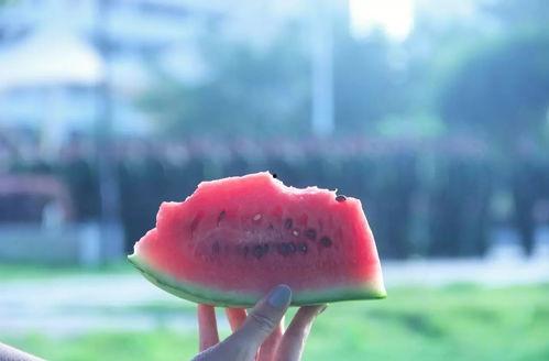 吃瓜看世间,洞察人间百态的趣味视角