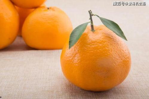 耙耙柑吃瓜,夏日里的甜蜜“吃瓜”新宠