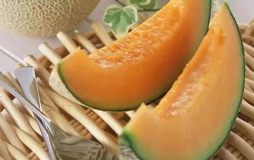 bts吃哈密瓜,成员们共享哈密瓜的温馨时光