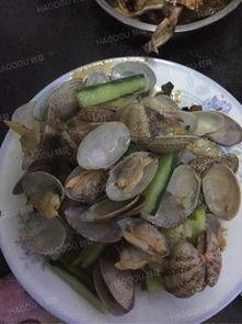 花蛤能和小瓜一起吃吗,美味与健康的双重享受