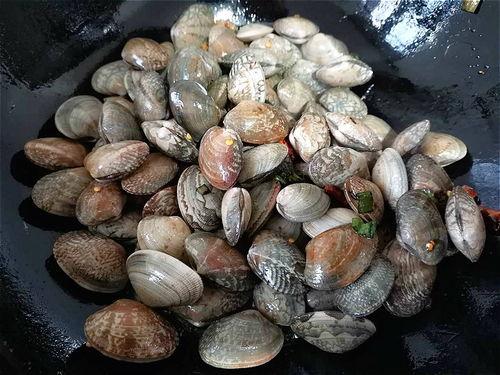 花蛤能和小瓜一起吃吗,美味与健康的双重享受