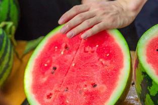 浙江学校吃瓜,揭秘校园里的那些“热辣”话题