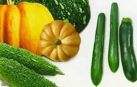 罍街吃瓜,探寻古都美食与市井百态