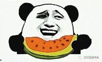 物以类聚吃瓜群众