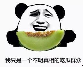 要当吃瓜群众上班,上班族的欢乐时光