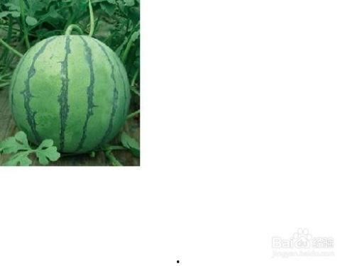 祥云路吃瓜事件,一场网络热议的真相揭秘