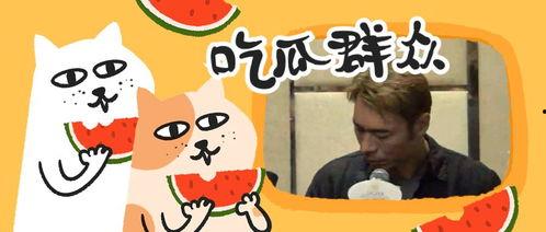 活跃的吃瓜群聊,揭秘娱乐圈幕后故事