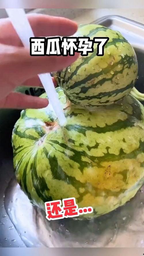 搞笑视频配音吃瓜,笑料横生！搞笑配音吃瓜大揭秘